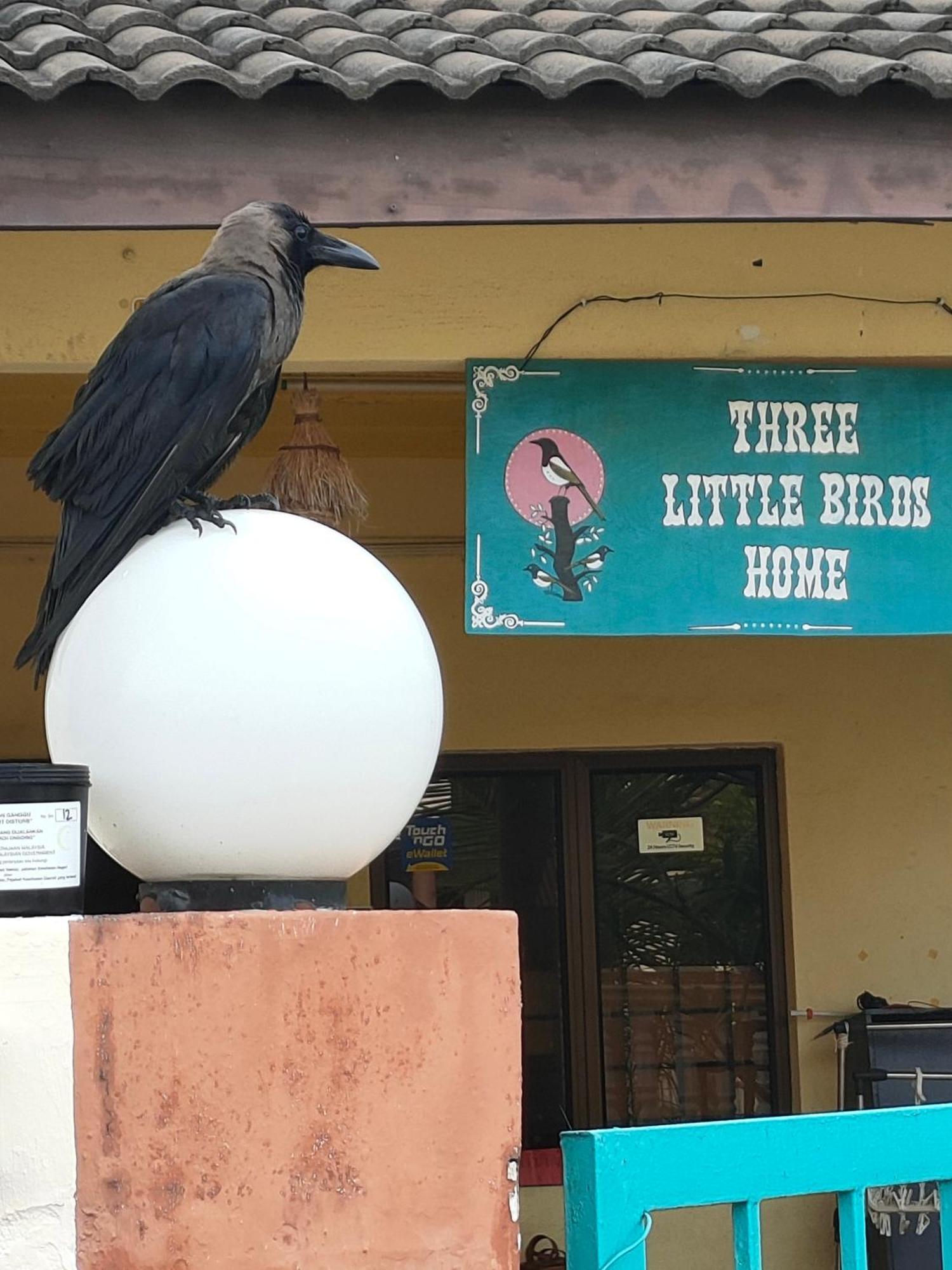 3 Little Birds Home, 100Meter To Jonkerwalk Malacca Buitenkant foto
